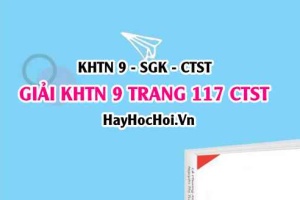 Giải KHTN 9 trang 117 Chân trời sáng tạo SGK